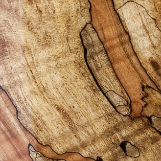Transparent - Spalted Maple
