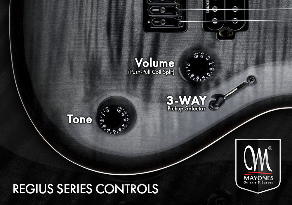 Regius Series Guitars Control Layout